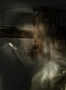 Portrait of SI Reasoning (The Encarne Trilogy)