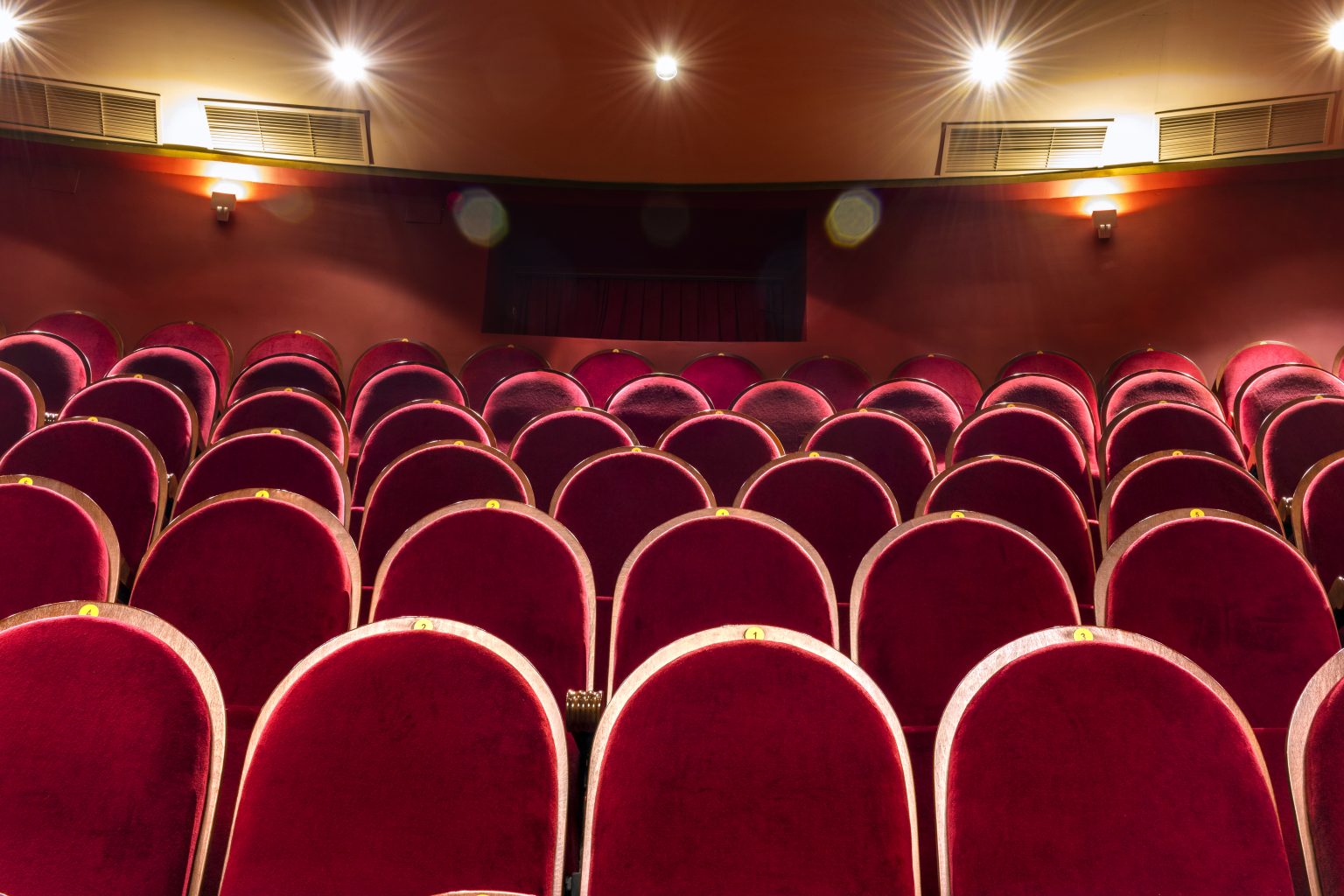 Rows of red velvet seats in a theatre